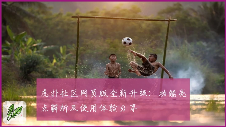 虎扑社区网页版全新升级：功能亮点解析及使用体验分享