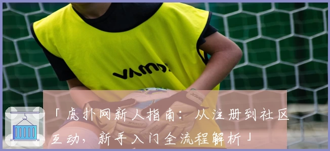 「虎扑网新人指南：从注册到社区互动，新手入门全流程解析」