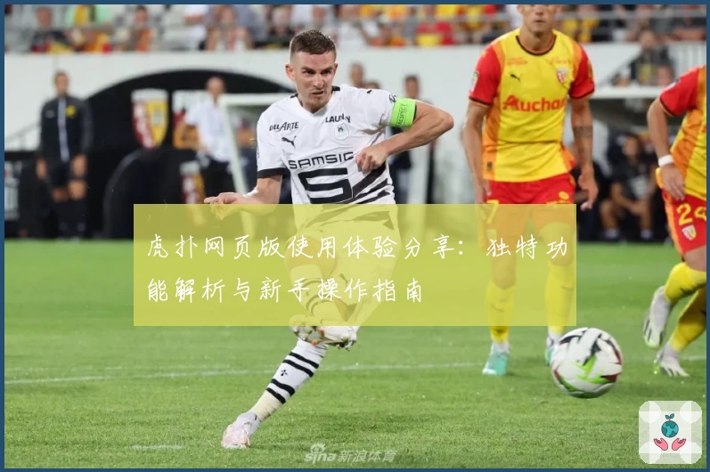 虎扑网页版使用体验分享:独特功能解析与新手操作指南