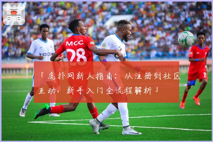 「虎扑网新人指南：从注册到社区互动，新手入门全流程解析」